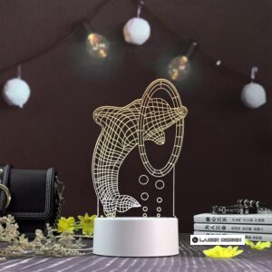 3D Acrylic LED Night Light